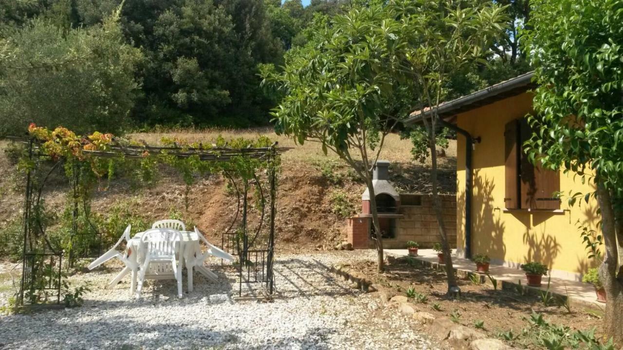 Podere Mammoleta Fattoria la Marsiliana Exterior photo