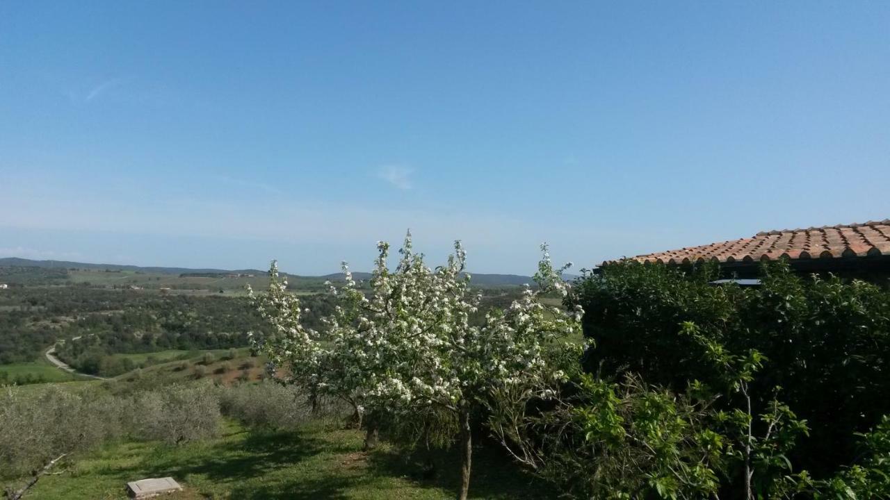Podere Mammoleta Fattoria la Marsiliana Exterior photo